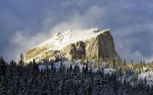 비보호좌회전에서는 운전연수 적색이 아니라 녹색 신호에 약진해야 하고
