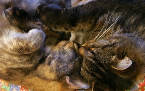 나는 제2의 생업으로 학습지 교사를 개점하게 운전연수 되었답니다.2