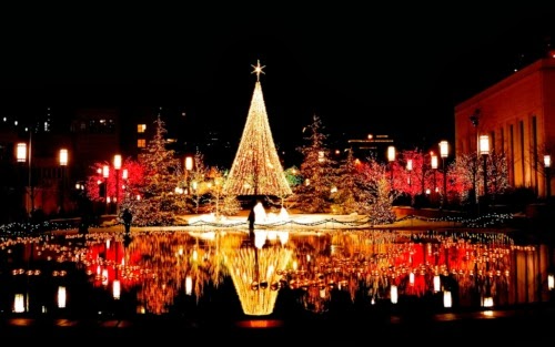 주차 연습도 빼놓지 않았어요.2