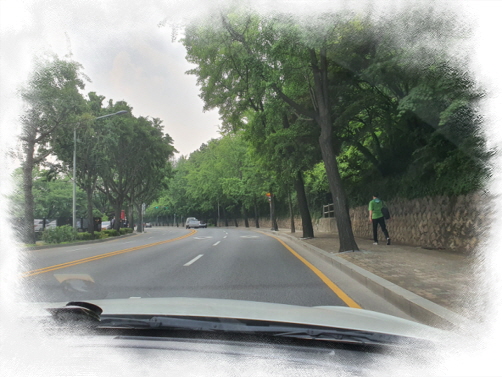 양천운전연수 방문형 1대1 수업 솔직 후기