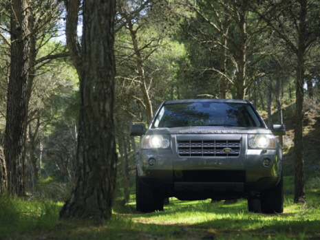 강사님께서 힘을 빼고 편안하게 운전하는 습관을 들여야한다고 조언해주셨어요.2